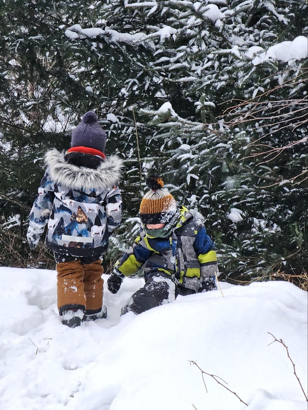 Mel's boys playing in the snow among the pine trees